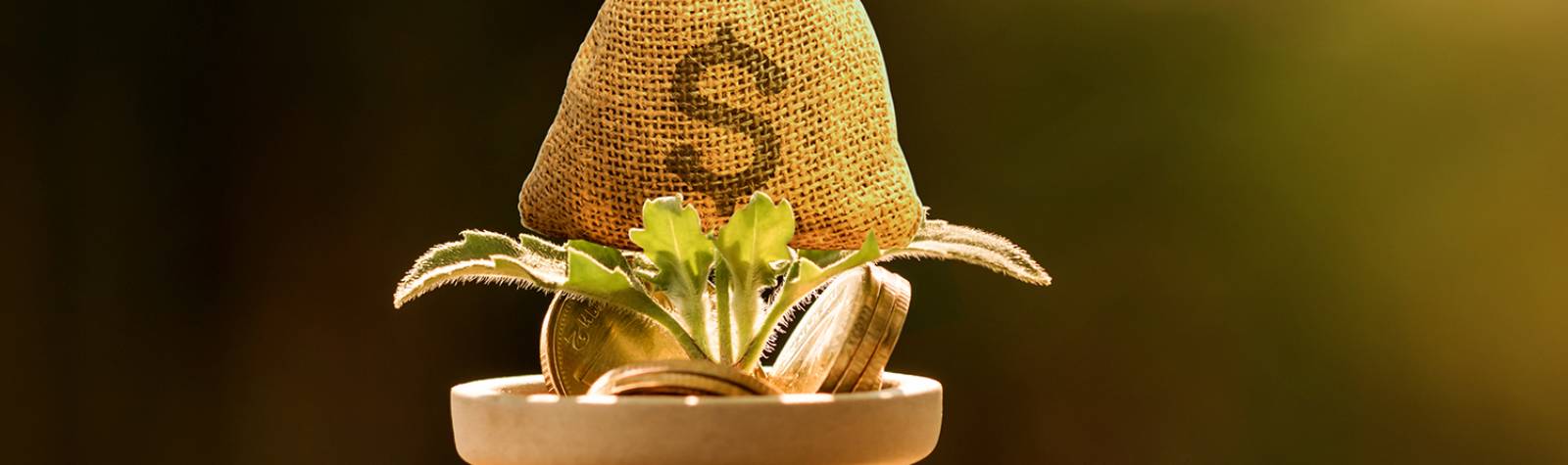Legislative Changes to Depreciation & Asset Capitalisation