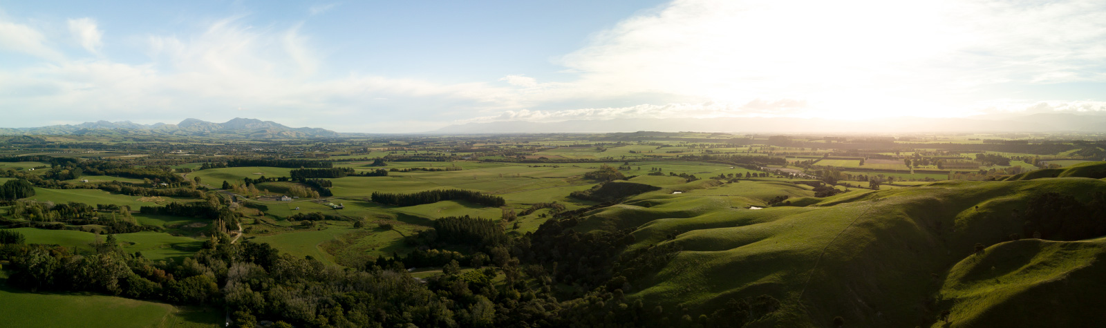 Enforcing security over farm property – the Farm Debt Mediation Act