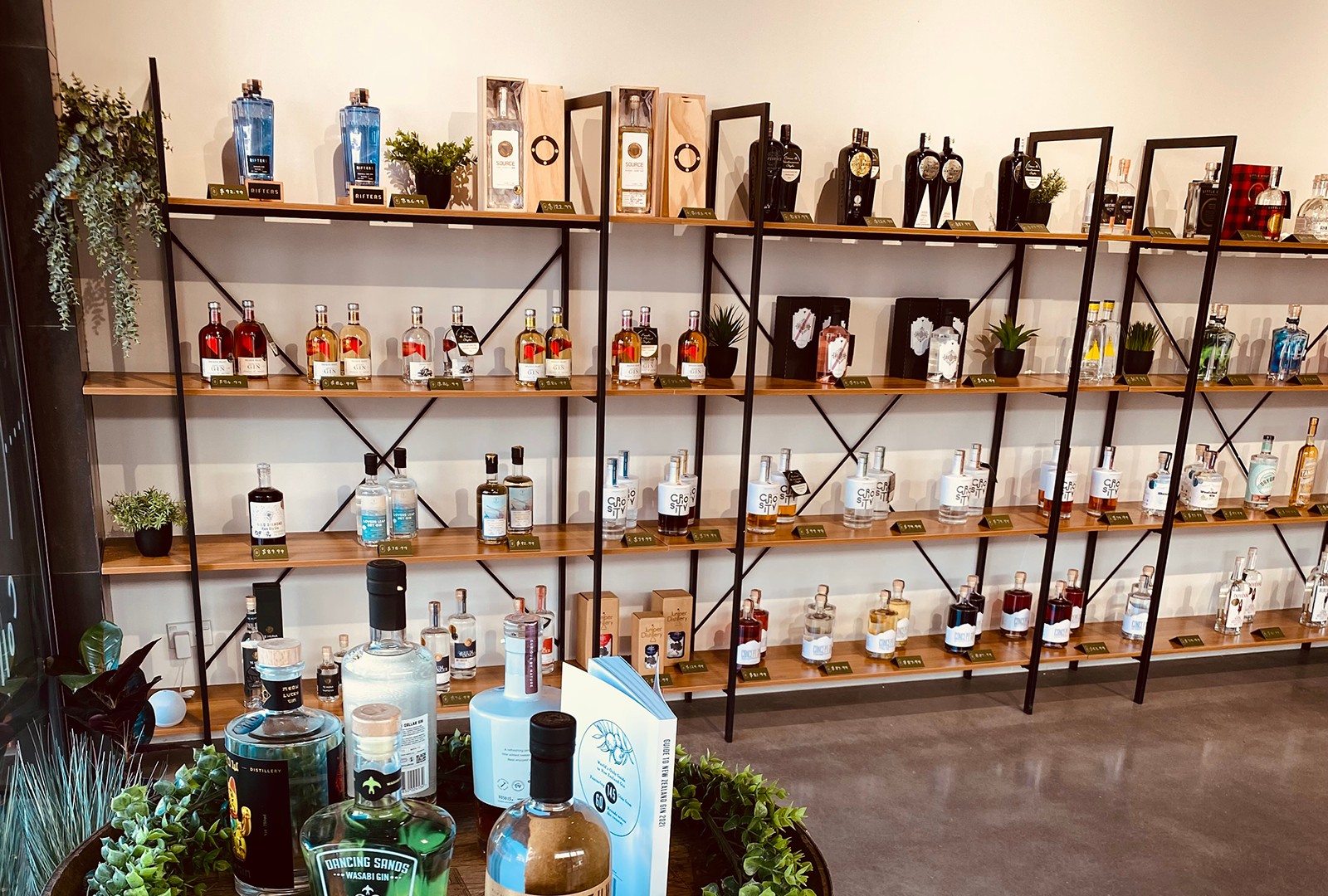 Client Feature: The Juniper Collective