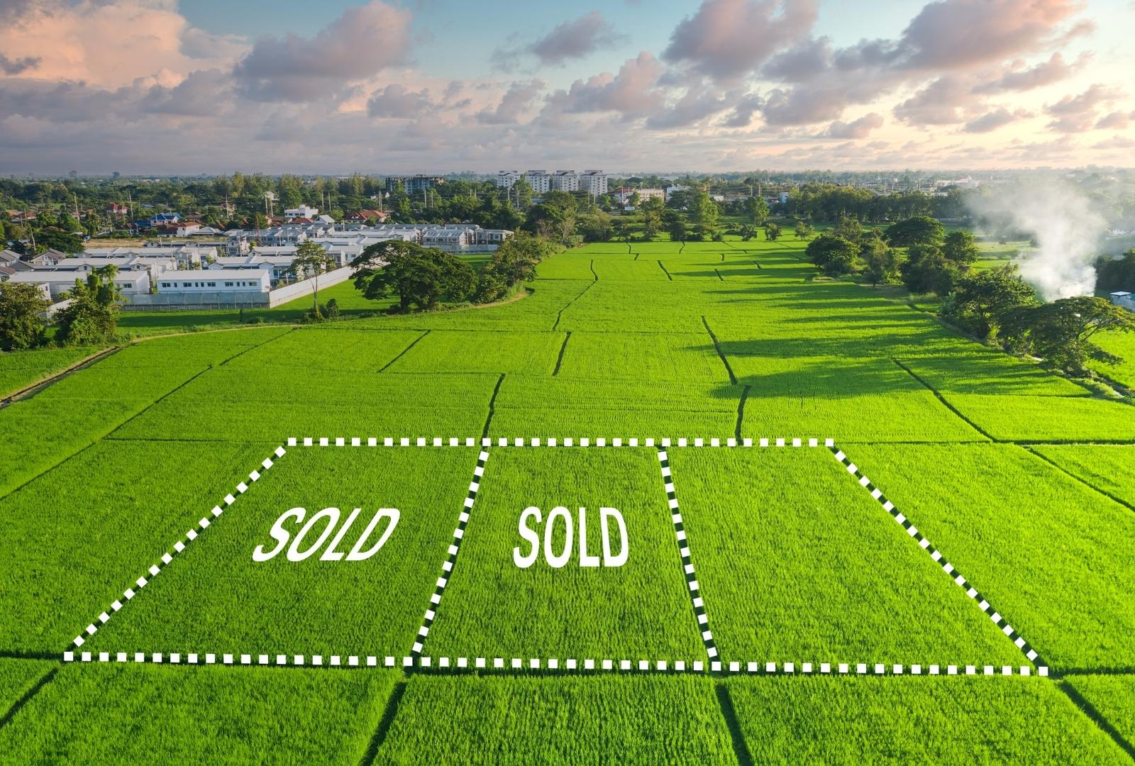 Land sales and GST